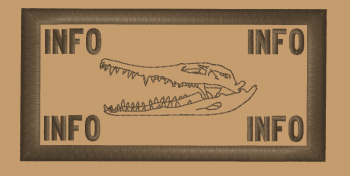 Patch-Flak/ Gator Skull